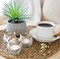 Farmhouse Artificial Plant | Fake Plant | Artificial Succulent in Pot | Fake Succulent | Faux Plant Indoor | Faux Succulent in Pot for Desk Decor